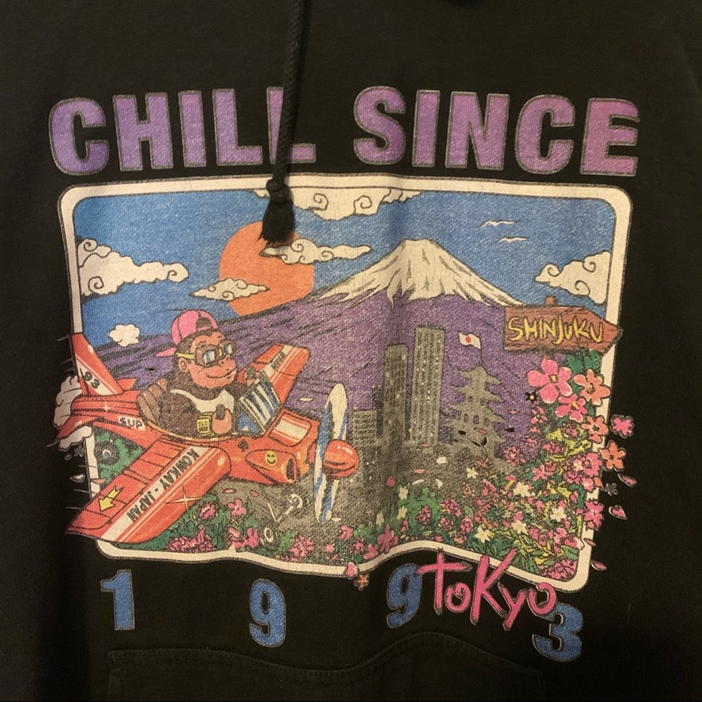 Brandy Melville cool since 1993 hoodie